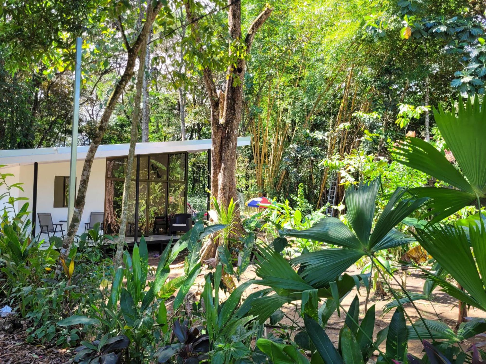 Luba House Villa Puerto Jiménez Eksteriør billede